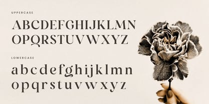 Mirado Font Poster 11