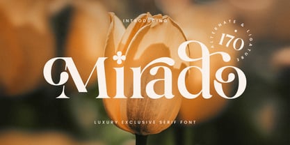 Mirado Font Poster 1