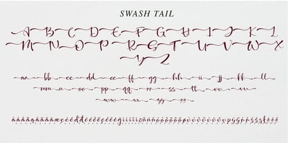 Twisty Squosh Font Poster 7