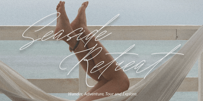 Artsn Script Pro Font Poster 11