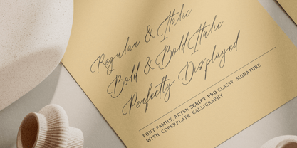 Artsn Script Pro Font Poster 15