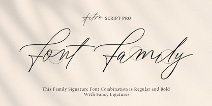 Artsn Script Pro Font Poster 2