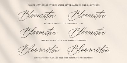Artsn Script Pro Font Poster 4