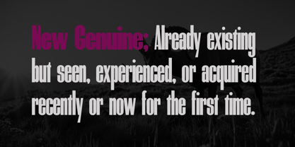 New Genuine Font Poster 2