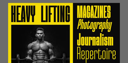 Reyonda Variable Font Poster 9