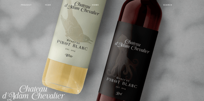 Simple Kindness Font Poster 7