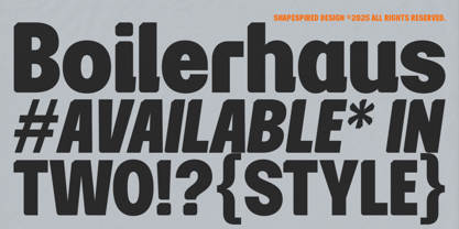 Boilerhaus Font Poster 2