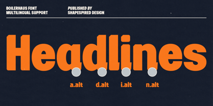 Boilerhaus Font Poster 4