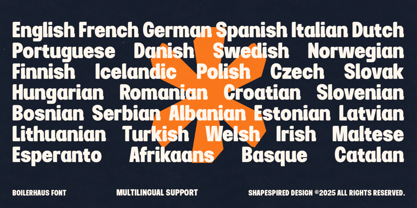 Boilerhaus Font Poster 13