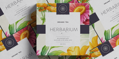 Gorga S Font Poster 8