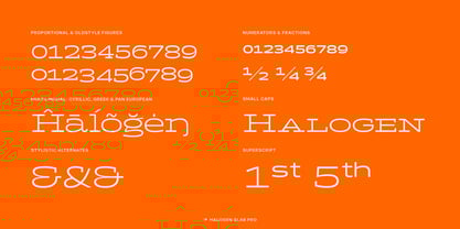 Halogen Slab Pro Font Poster 11