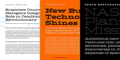 Halogen Slab Pro Font Poster 12