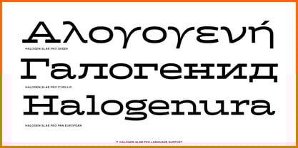 Halogen Slab Pro Font Poster 6