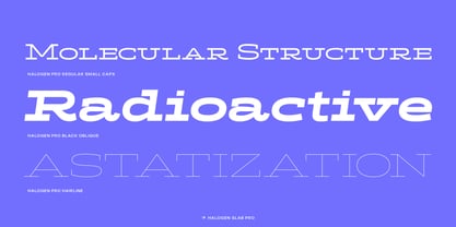Halogen Slab Pro Font Poster 8