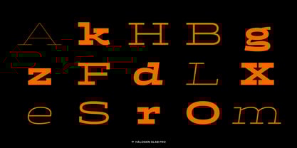 Halogen Slab Pro Font Poster 4