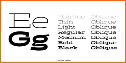 Halogen Slab Pro Font Poster 5