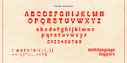 Young Romance Font Poster 13