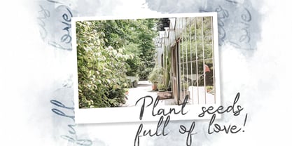 Sugih Janji Font Poster 6