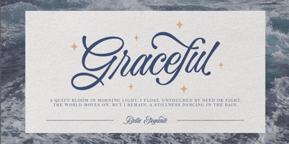 Bella Elegante Font Poster 6