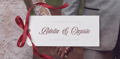 Bella Elegante Font Poster 2