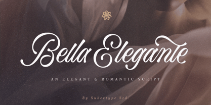 Bella Elegante Font Poster 1