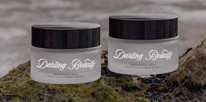 Bella Elegante Font Poster 4