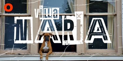 Plex Mix Font Poster 10