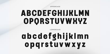 Raven SS Font Poster 10