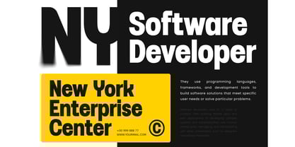 Raven SS Font Poster 6