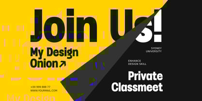 Raven SS Font Poster 5