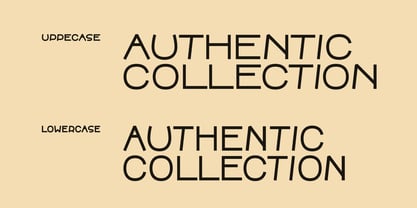 ZF Mixy Pro Font Poster 12