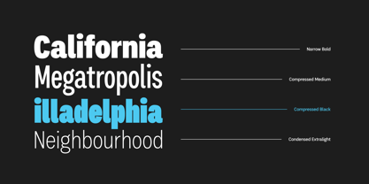 Palo Nuevo Pro Font Poster 14