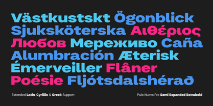 Palo Nuevo Pro Font Poster 11