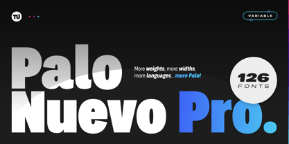 Palo Nuevo Pro Font Poster 1
