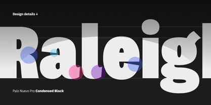 Palo Nuevo Pro Font Poster 6