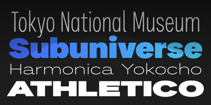 Palo Nuevo Pro Font Poster 2