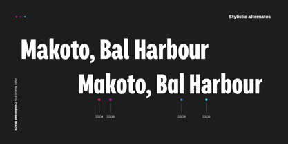 Palo Nuevo Pro Font Poster 8