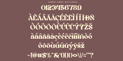 Praline Font Poster 13
