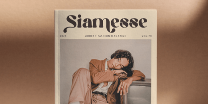 Praline Font Poster 2