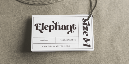 Praline Font Poster 9