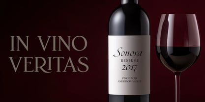 Artia Duo Font Poster 6