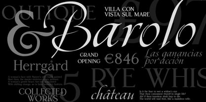 Artia Duo Font Poster 5