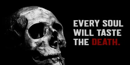 Wono Suka Font Poster 3