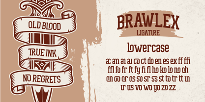 Brawlex Font Poster 9