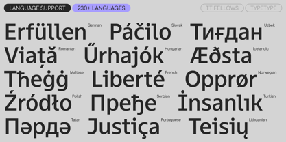 TT Fellows Font Poster 7