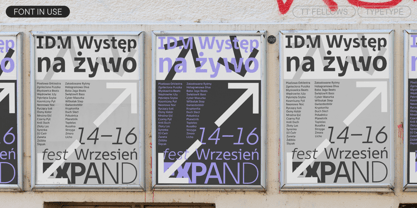 TT Fellows Font Poster 9