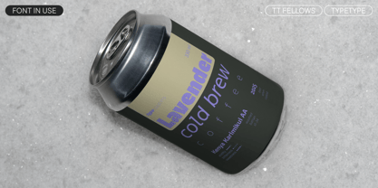 TT Fellows Font Poster 6