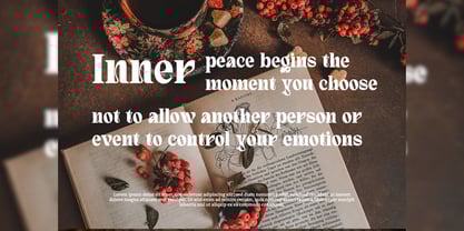 Quivert Font Poster 8