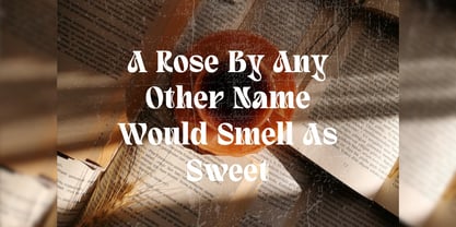 Quivert Font Poster 6