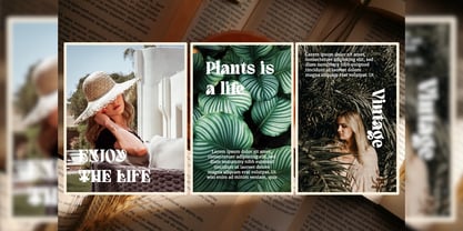 Quivert Font Poster 7